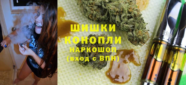 spice Гусев