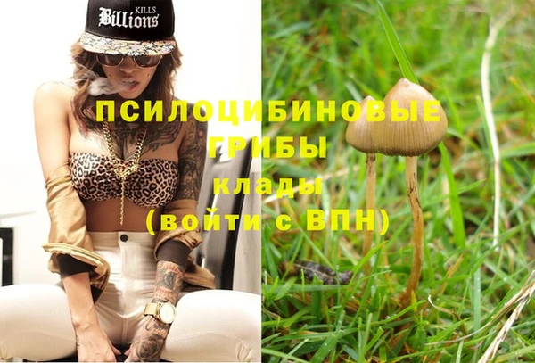 spice Гусев