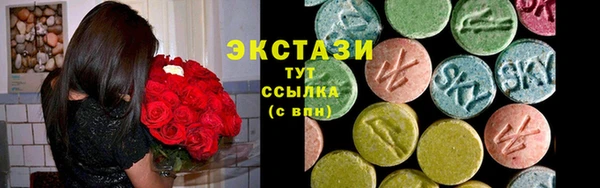 spice Гусев