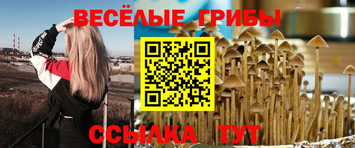 Псилоцибиновые грибы прущие грибы  Псилоцибиновые грибы мухоморы  Вход с VPN  где купить наркоту  Москва 
